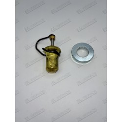 THERMOSTAT POMPE A INJECTION