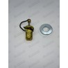 THERMOSTAT POMPE A INJECTION