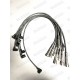 Faisceau d'allumage screw-on