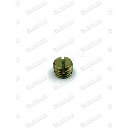Vis ergot coulisseau de vitre 230-250-280sl