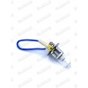 AMPOULE ANTIBROUILLARD