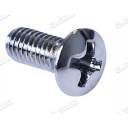 VIS DE CHROME DE PORTE ARRIERE