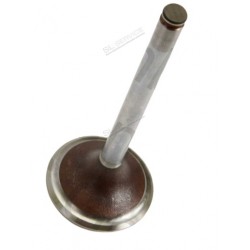 SOUPAPE D'ADMISSION MOTEUR M110