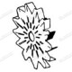 POULIE D'ALTERNATEUR