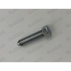 VIS CHROMEE ARCEAU DE CAPOTE