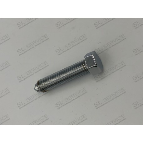 VIS CHROMEE ARCEAU DE CAPOTE